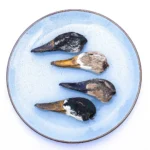 duck heads