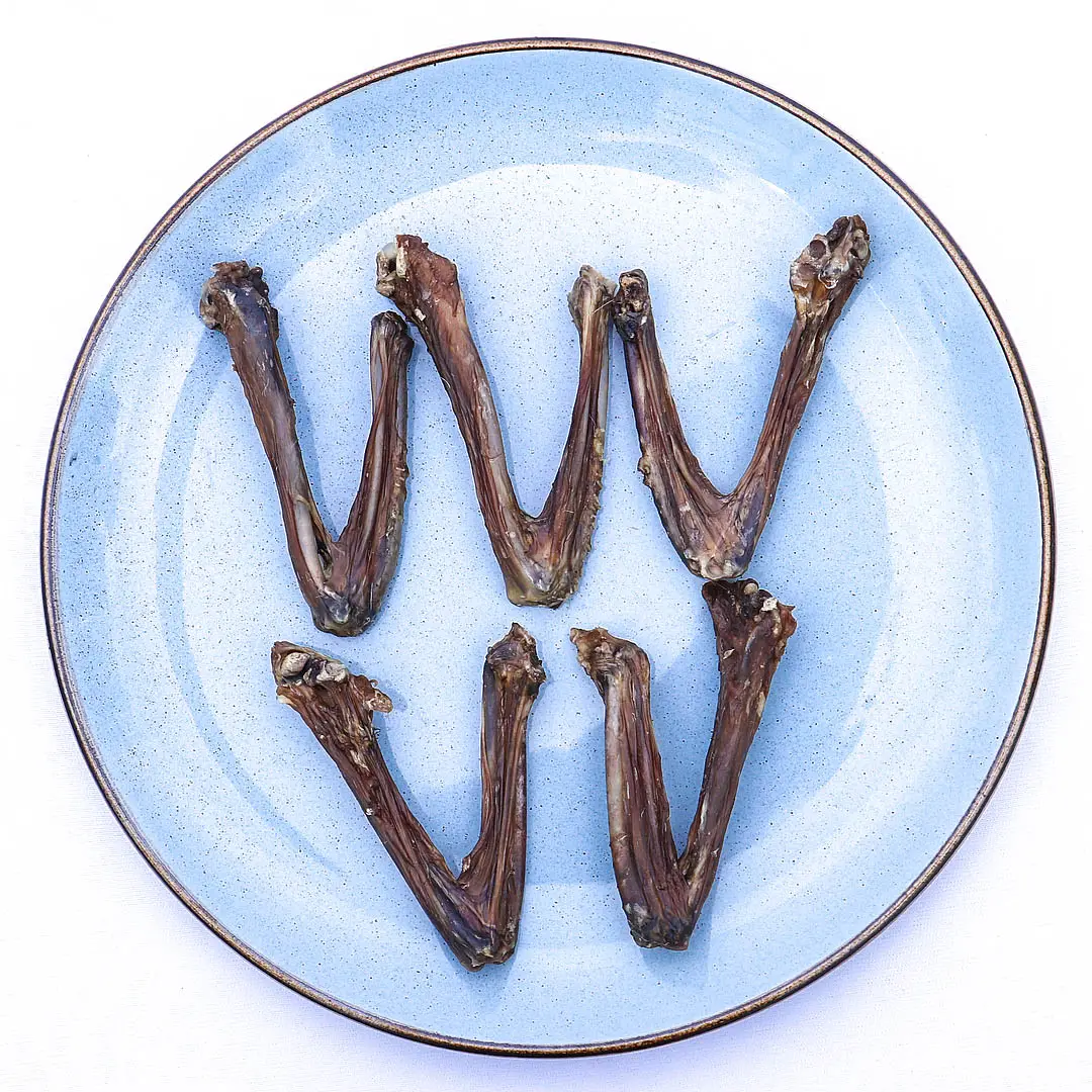 Duck Wings (1) duck wings