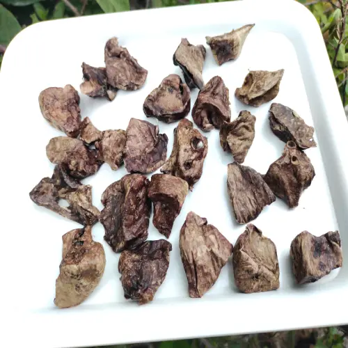 goat lungs