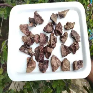 goat lungs