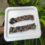goat skin braid
