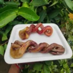 bull pizzle twist