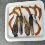 duck head and feeets