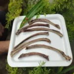 goat ribs