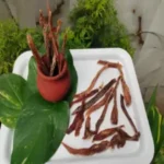 turkey jerky