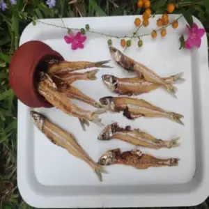 anchovy