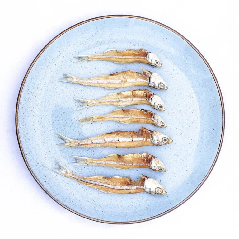 anchovy
