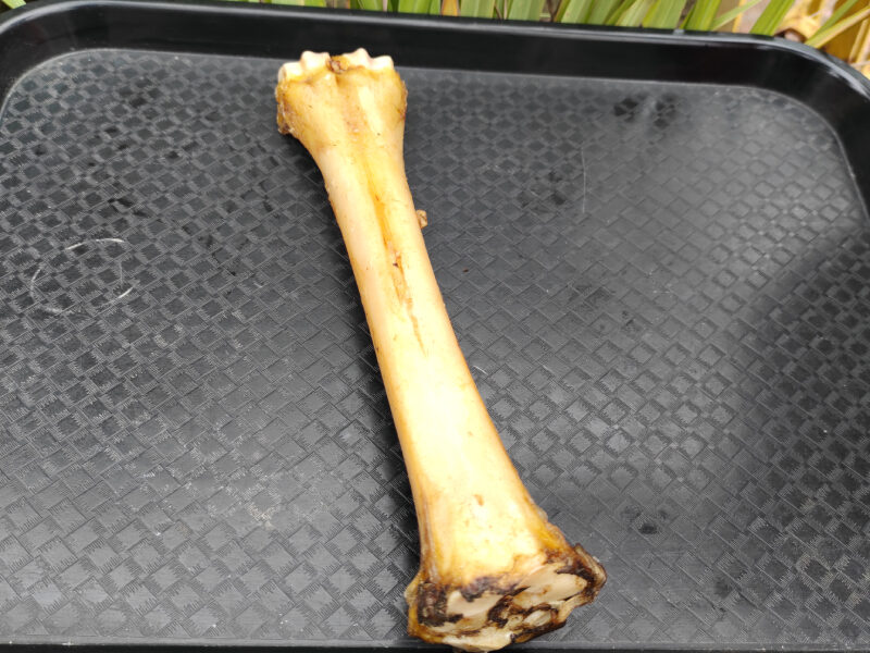 Beef Chew Bone