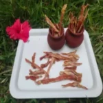 Chicken-Jerky