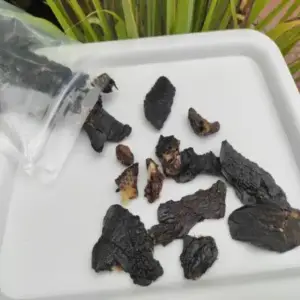 Chicken-liver-heart