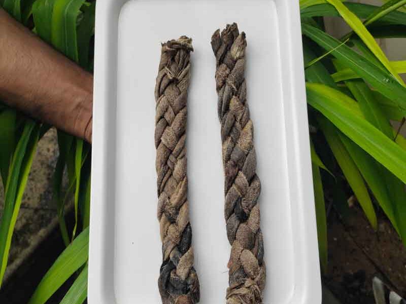Goat Skin Braid 1