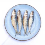 sardine
