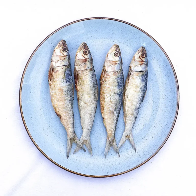 sardine