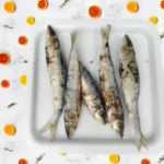 sardine