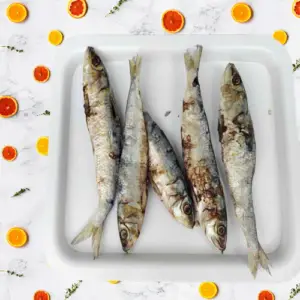 sardine