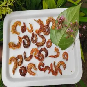 shrimp