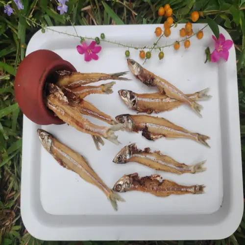 anchovy dog treats