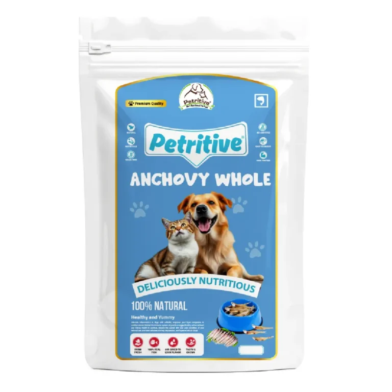 anchovy whole