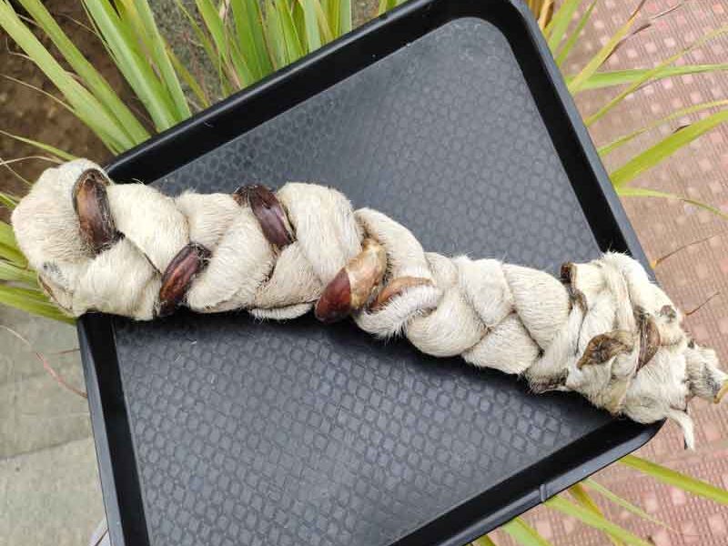 Cow Skin Pizzle 2