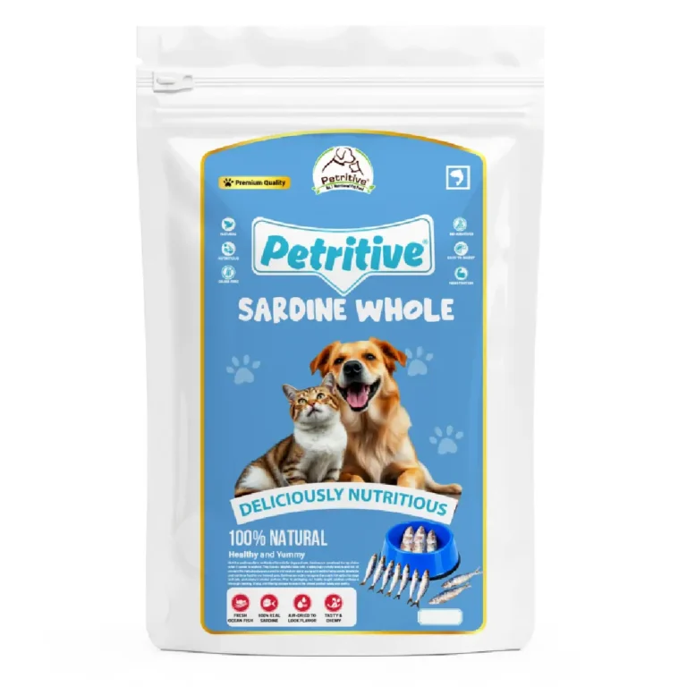 sardine