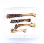 goat shanks for dogs