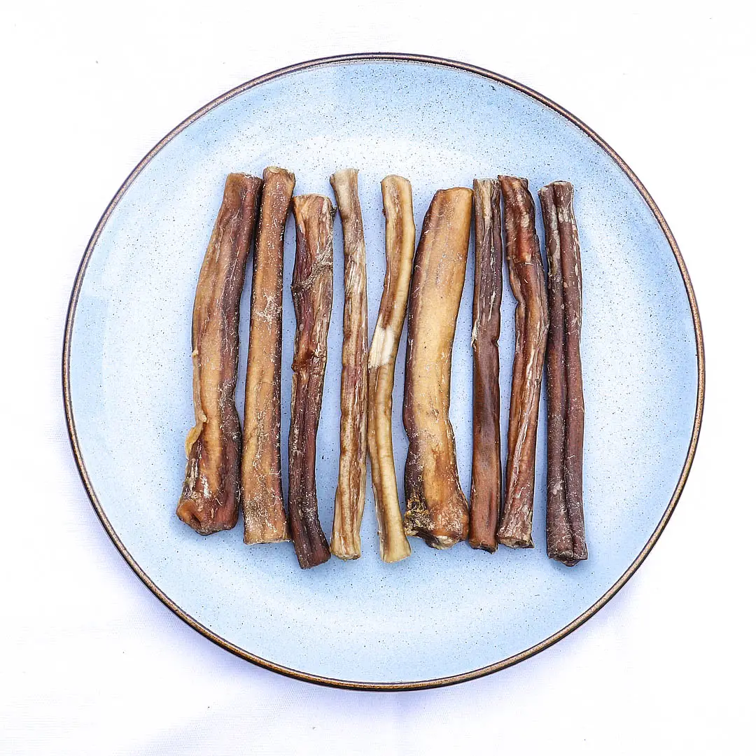 Bully Sticks (1) bully sticks