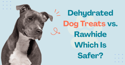 dehydrated dog food
