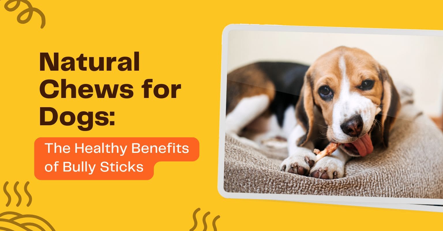 bully sticks