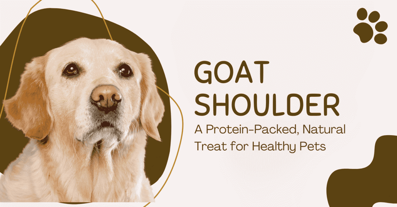 goat shoulder