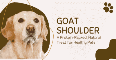goat shoulder