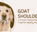goat shoulder