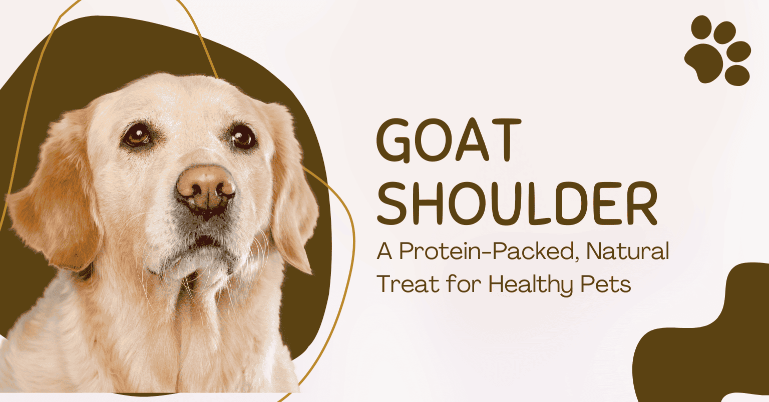 goat shoulder