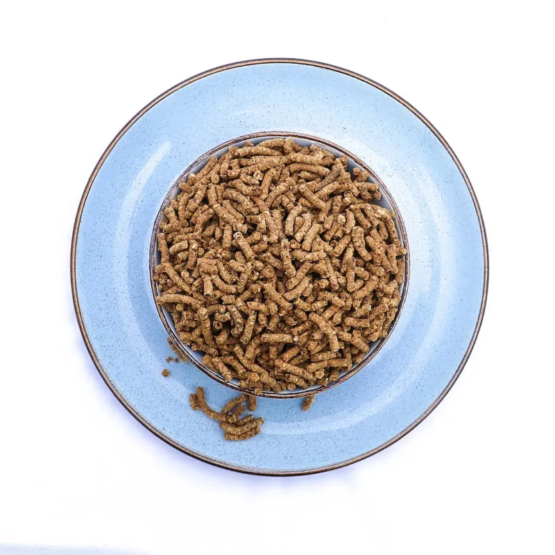 fish meal for dogs