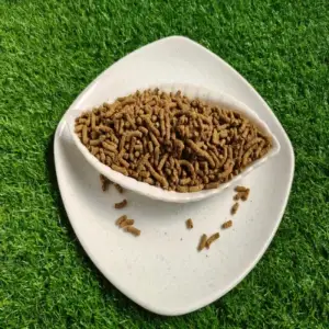 fish meal
