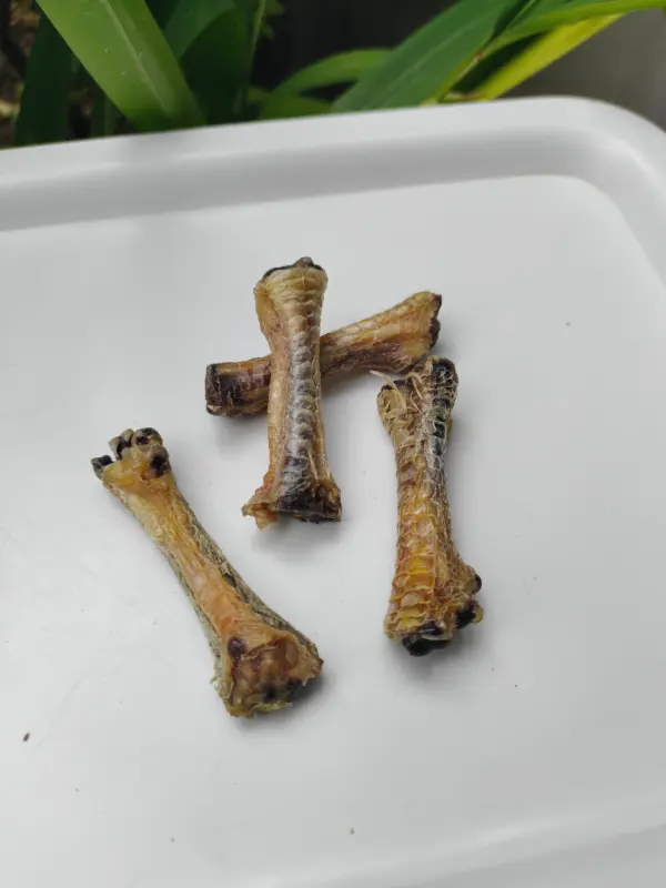 Shop Secondary Image Shop Secondary Image