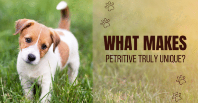 Petritive pet food