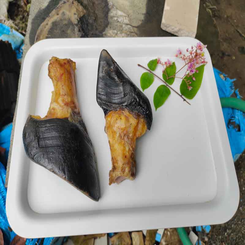 Shop Primary Image Shop Primary Image