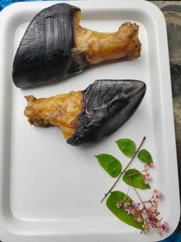 Shop Secondary Image Shop Secondary Image