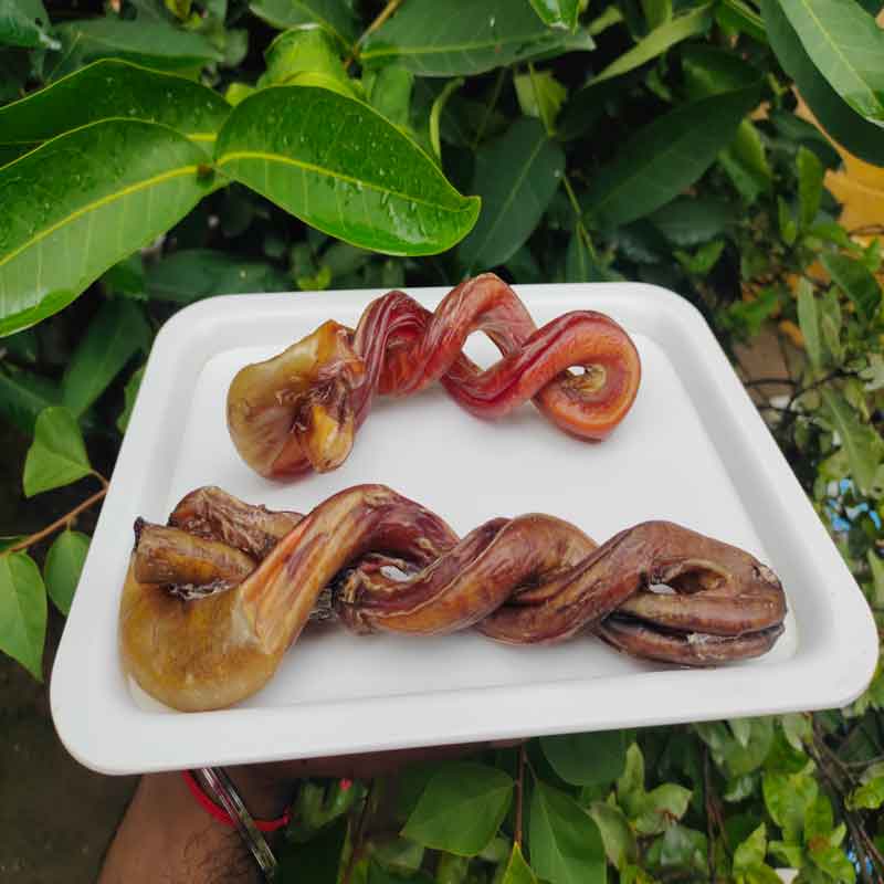 Pizzle-twist1 bull-pizzle-twist 2