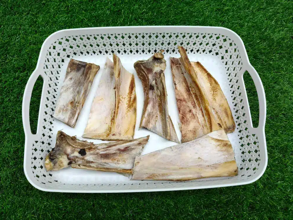 Shop Secondary Image Shop Secondary Image