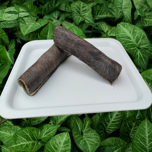 Shop Secondary Image Shop Secondary Image