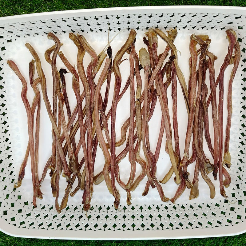 Shop Primary Image Shop Primary Image