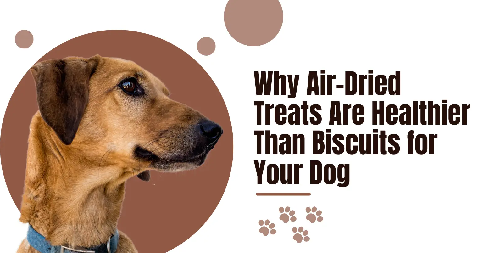 High-protein dog treats