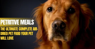 Why Air-Dried Meals Are Better