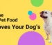 Your Dog’s Daily Life