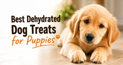 dehydrated pet food