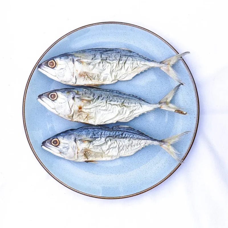 mackerel whole