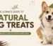 Healthy Dog Treats