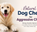 Natural Dog Chews for Aggressive Chewers