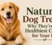 Natural Dog Treats